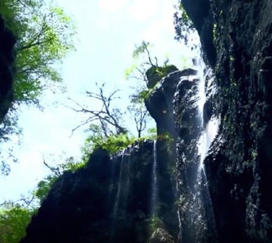 青山綠水，白龍江畔江畔息白鷺，兩岸綠橄欖入眼的都是純樸自然枝上花開(kāi)，春來(lái)水暖魚(yú)蝦戲水，鳥(niǎo)語(yǔ)花香心中充滿(mǎn)著舒暢之感祥宇生態(tài)產(chǎn)業(yè)園，位于隴南市武..